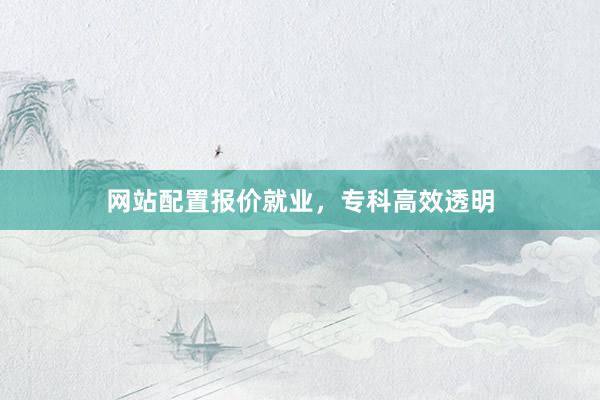 网站配置报价就业，专科高效透明