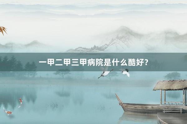 一甲二甲三甲病院是什么酷好？